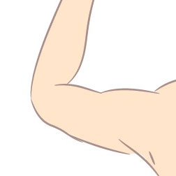 Melbourne Elbow Surgery Rehab Protocols