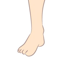 Melbourne Ankle Surgery Rehab Protocols